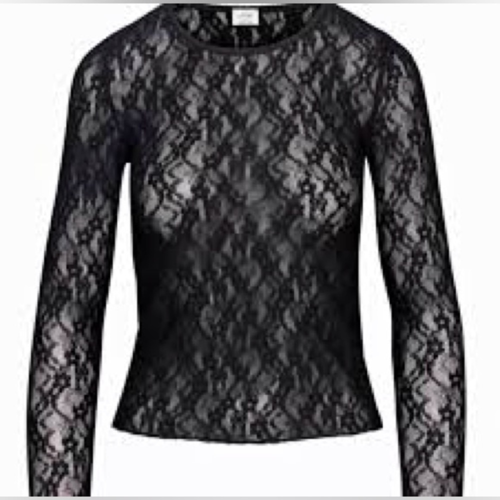 Aritzia | Wilfred | Black Lace Long Sleeve Crewneck Top